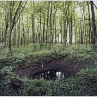 Scars of the WWII in German forests by Henning Rogge